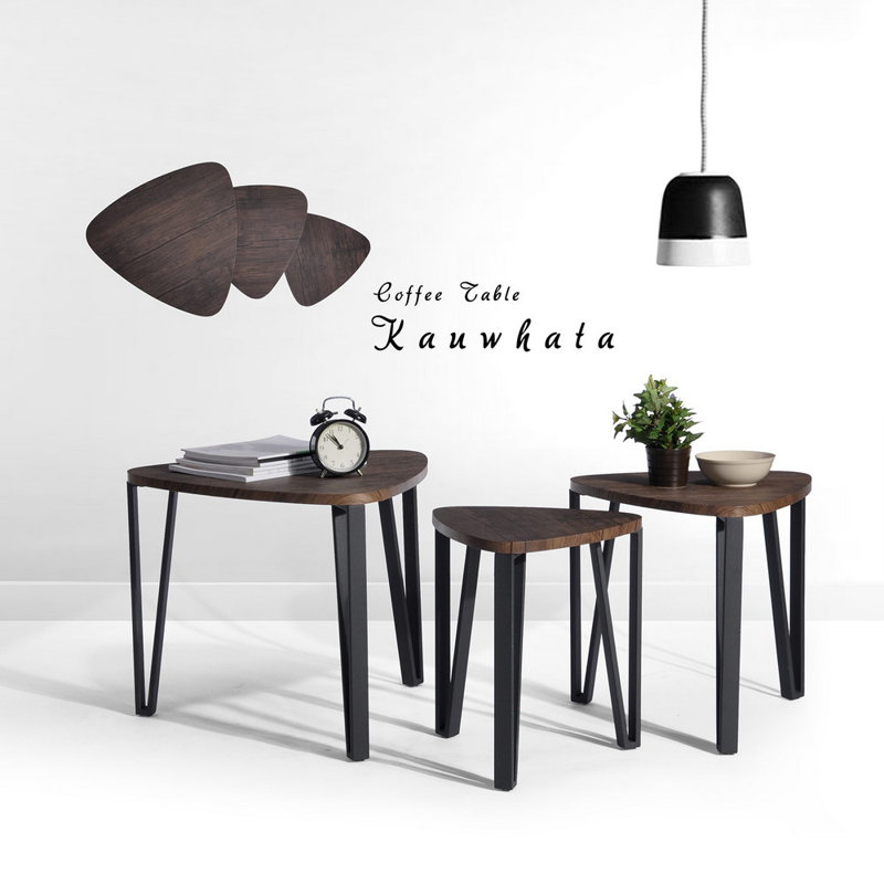 Wrought Studio Nyasia 3 Piece Coffee Table Set & Reviews Wayfair